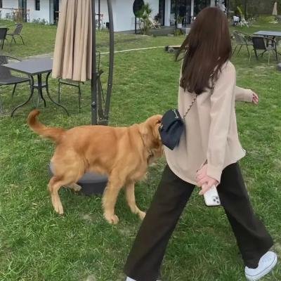 野生狼性